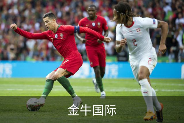 金牛国际公司简介图片